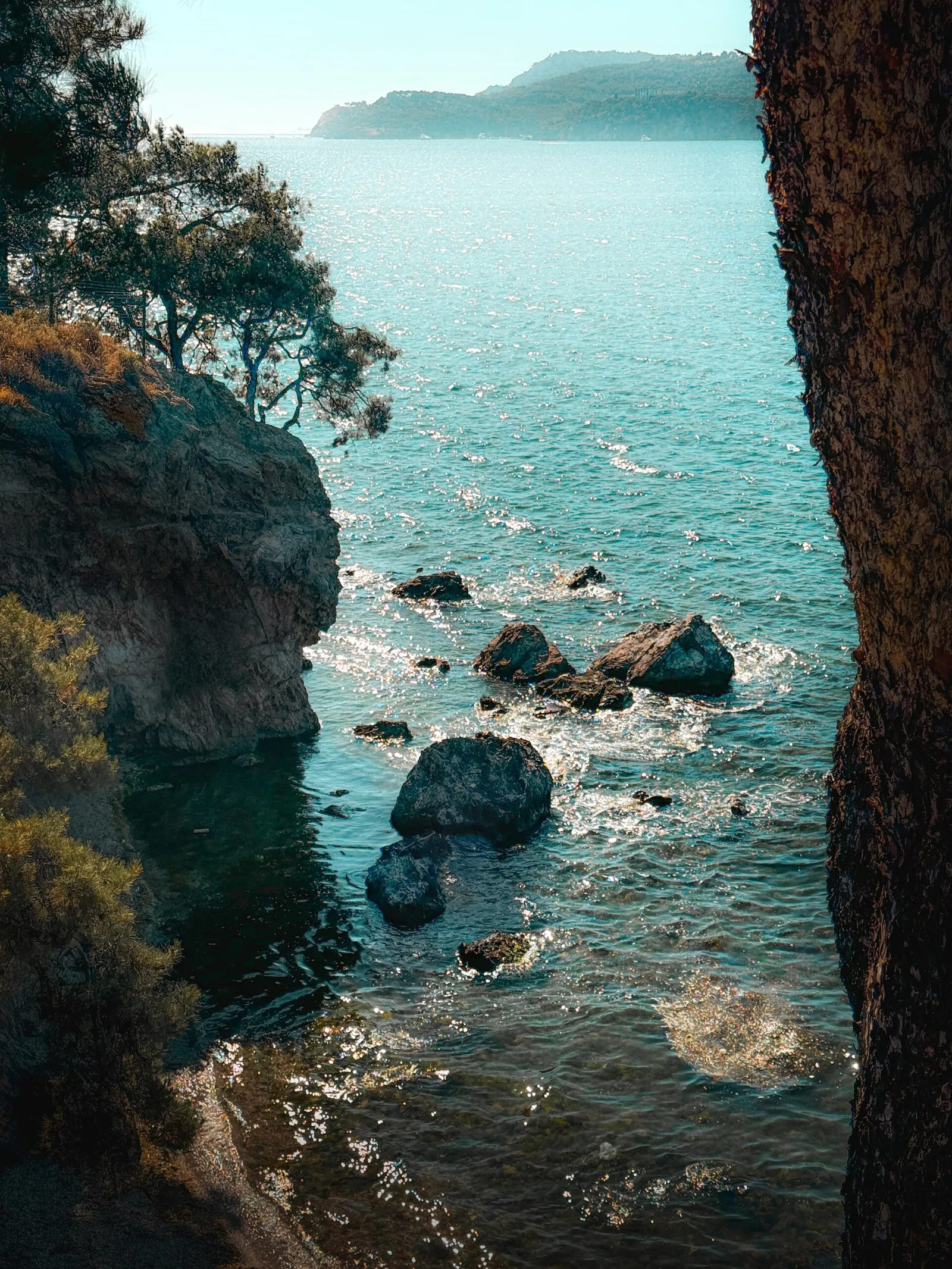 Dilburnu Tabiat Parkı, Adalar, İstanbul — photo