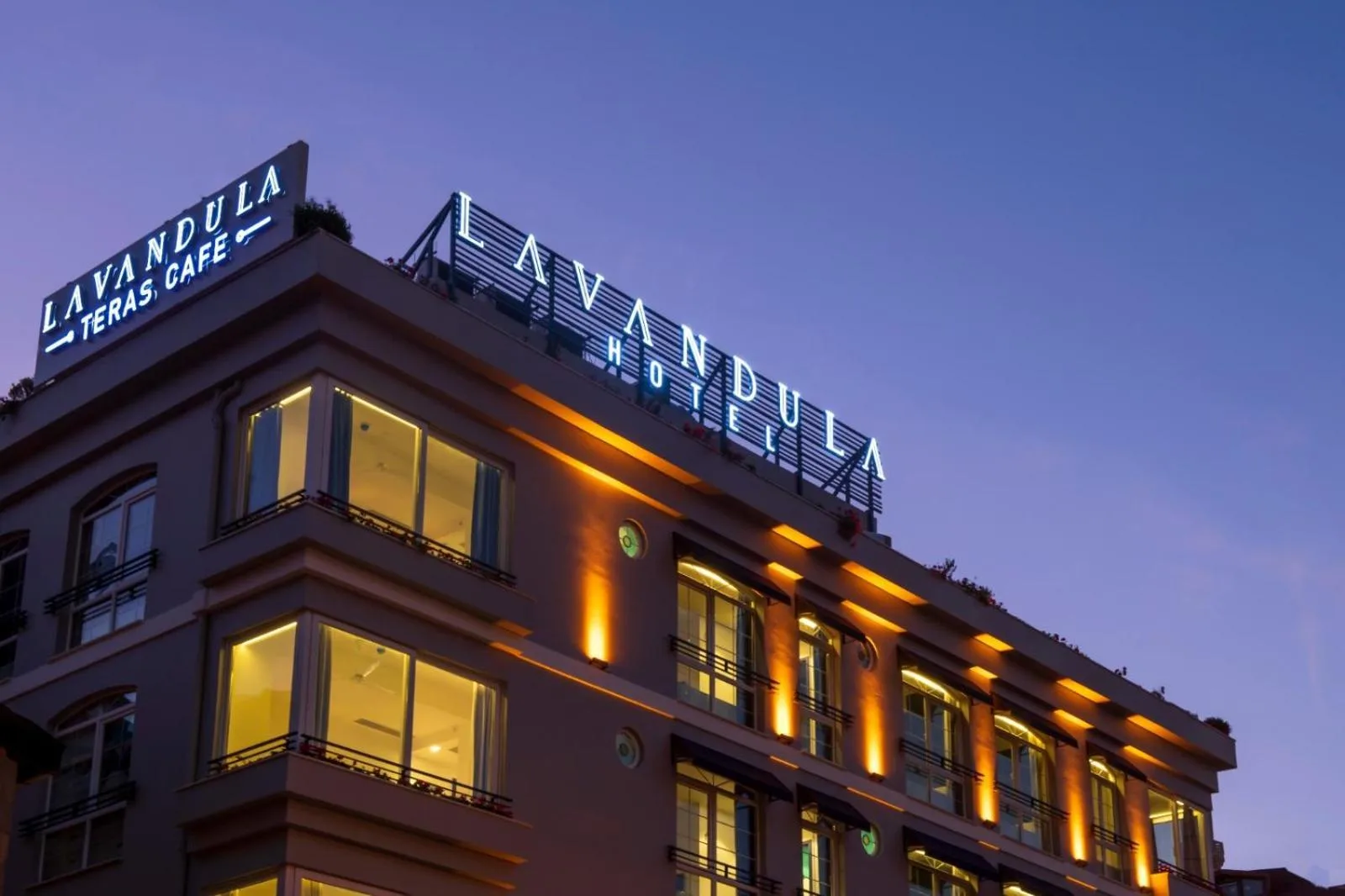 Levent Lavandula Hotel, Kâğıthane, İstanbul — Otel