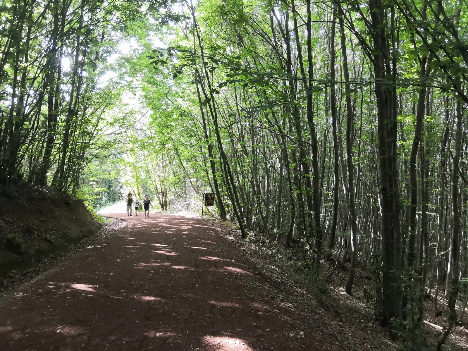 Polonezköy Tabiat Parkı, Beykoz, İstanbul — Park ve Doğa