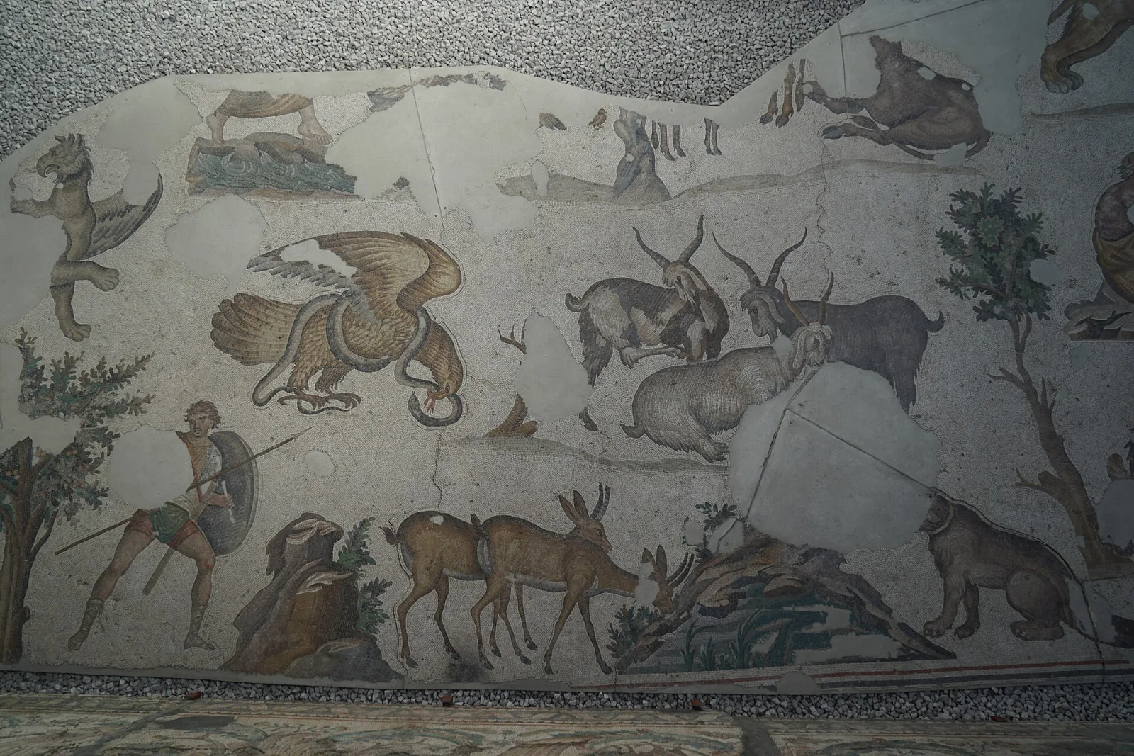 Büyük Saray Mozaikleri Müzesi, Fatih, İstanbul — photo