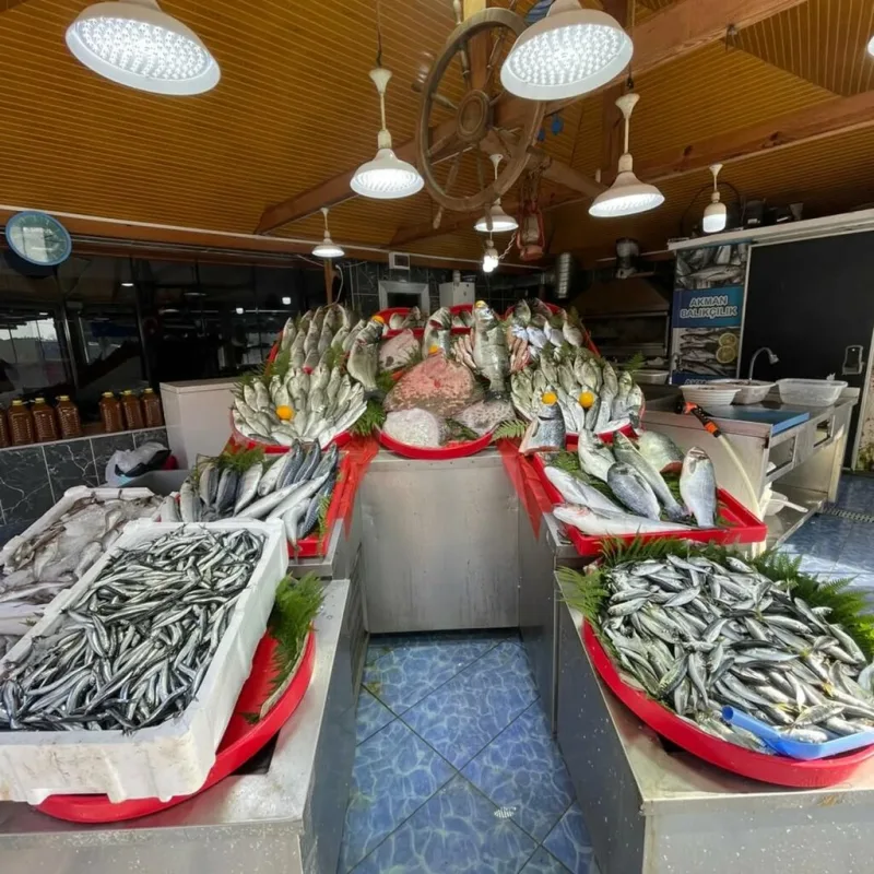 AKMAN BALIKÇILIK, Arnavutköy, İstanbul — Restoran