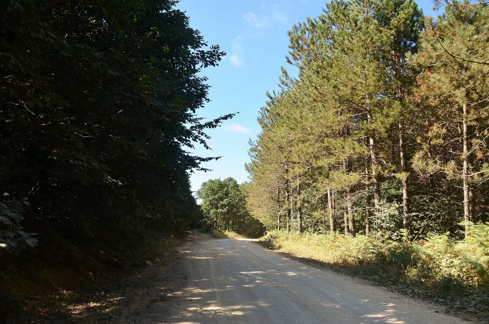 Çilingoz Tabiat Parkı, Çatalca, İstanbul — photo