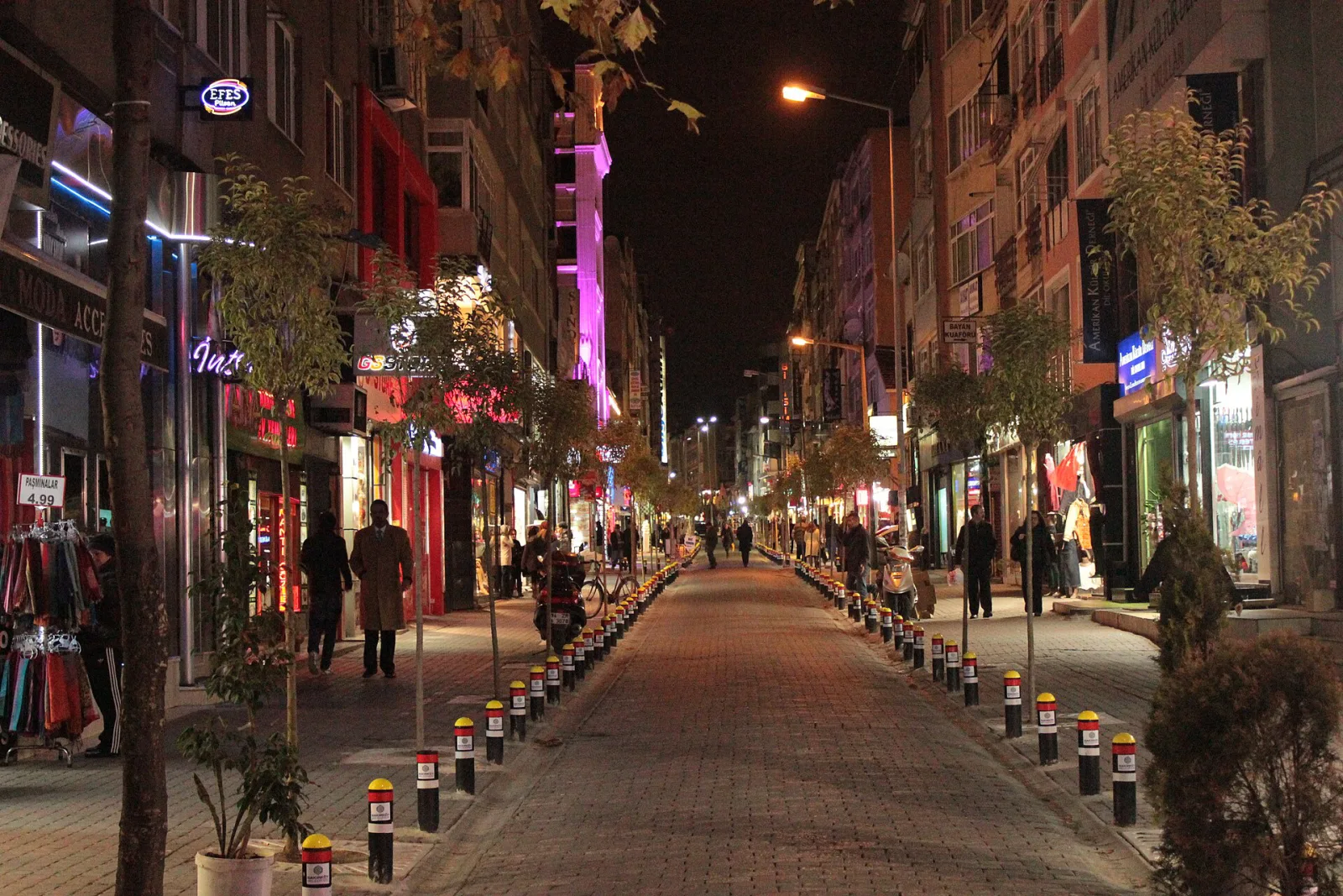 Yunus Emre Kültür Merkezi, Bakırköy, İstanbul — photo