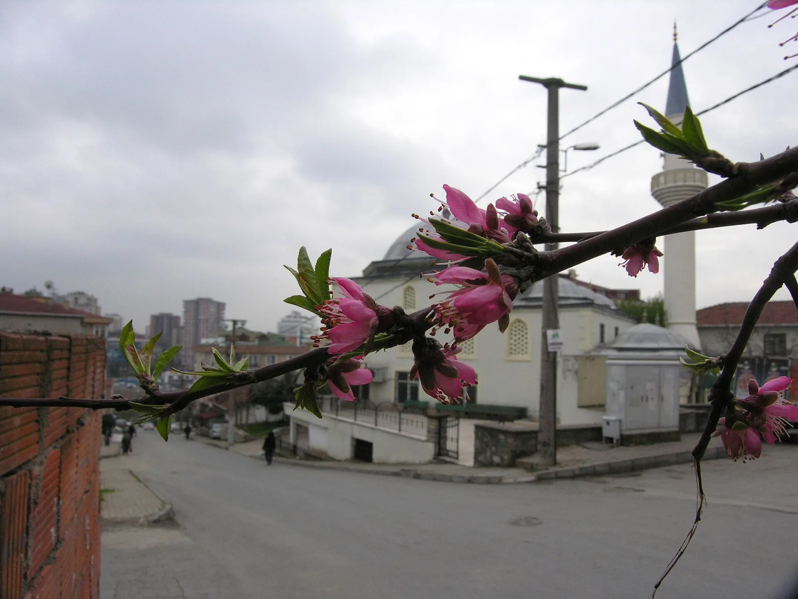Ziverbey Köşkü, Ataşehir, İstanbul — photo