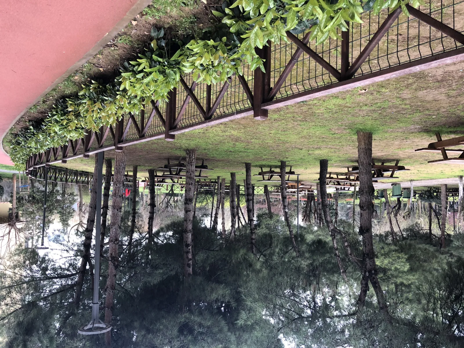Özgürlük Parkı, Kadıköy, İstanbul — Park ve Doğa