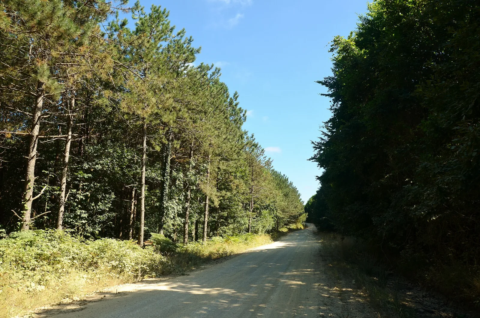 Çilingoz Tabiat Parkı, Çatalca, İstanbul — photo