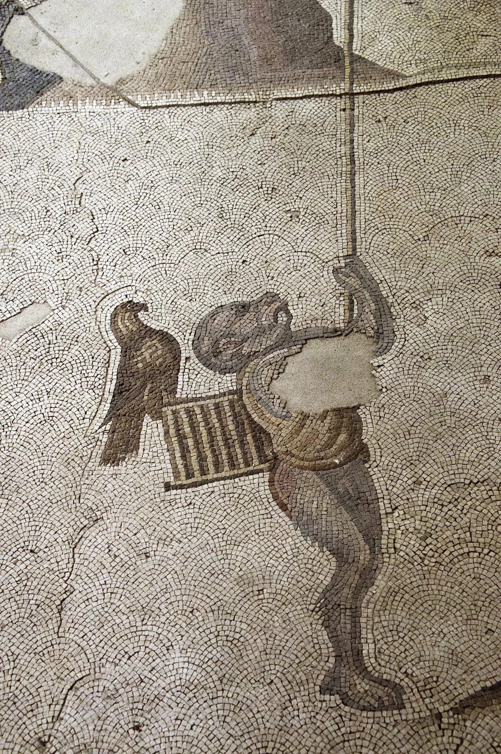 Monkey Istanbul, Beyoğlu, İstanbul