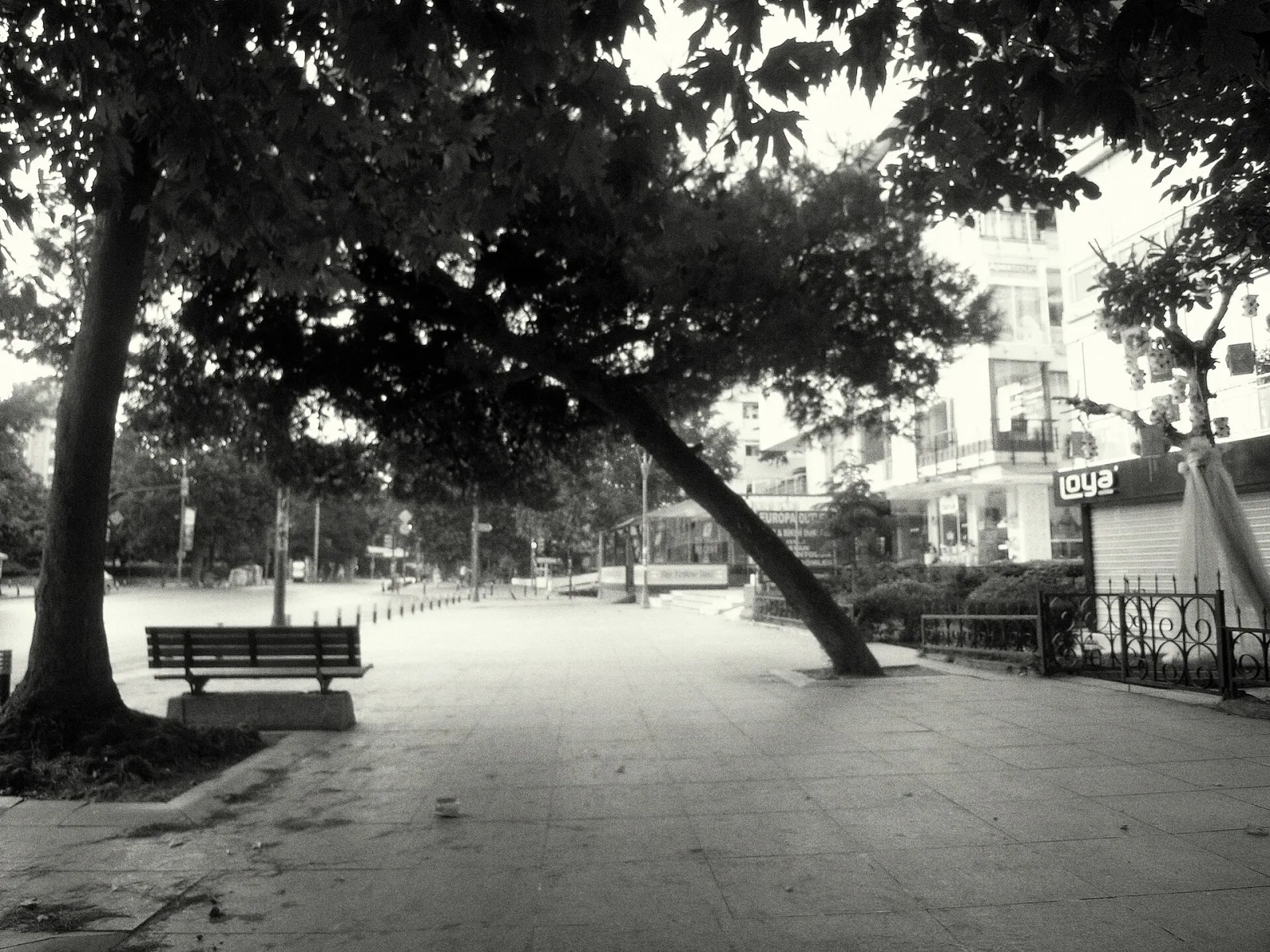 Pennylane, Kadıköy