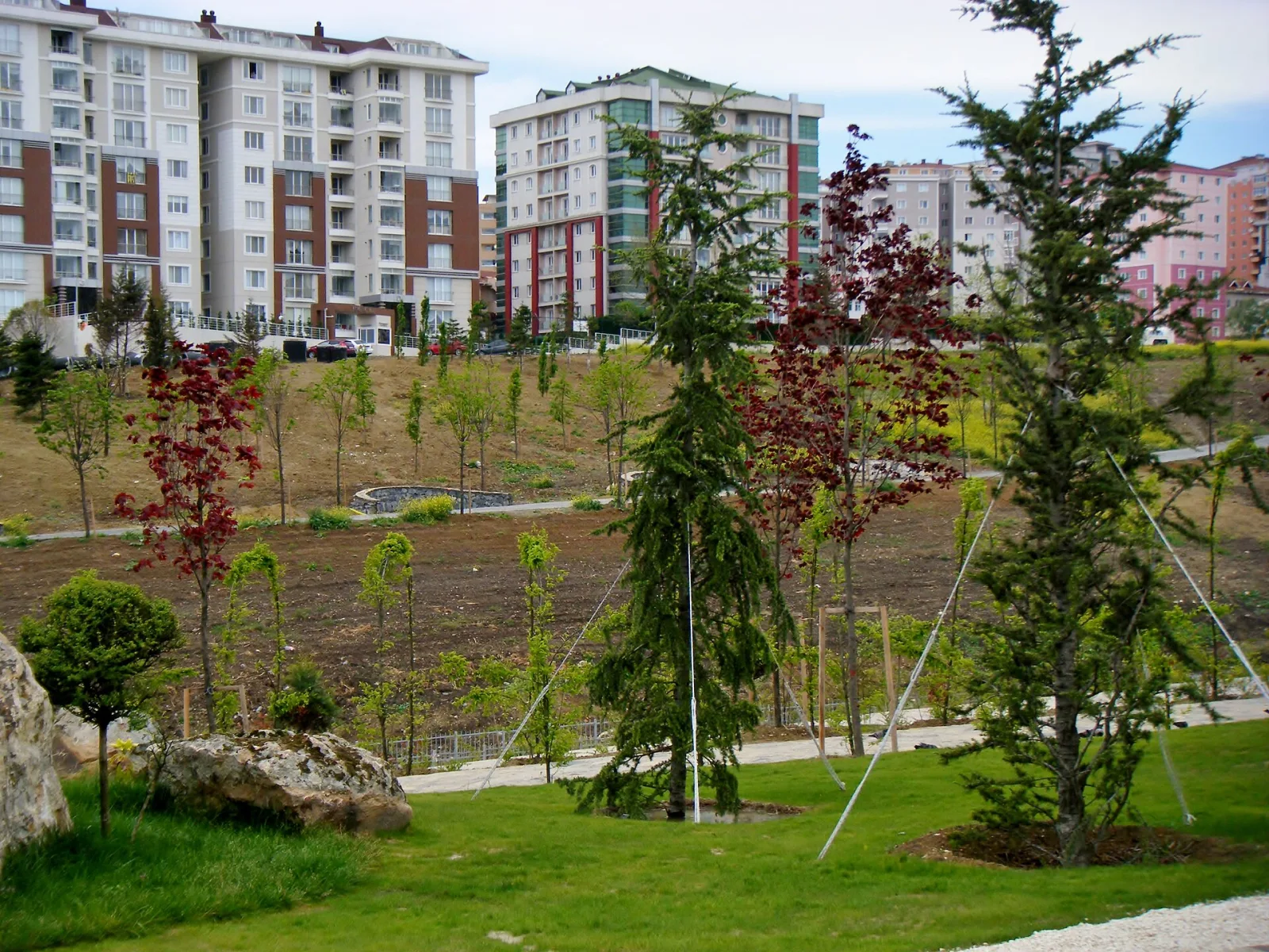 Çam Vadisi, Sarıyer