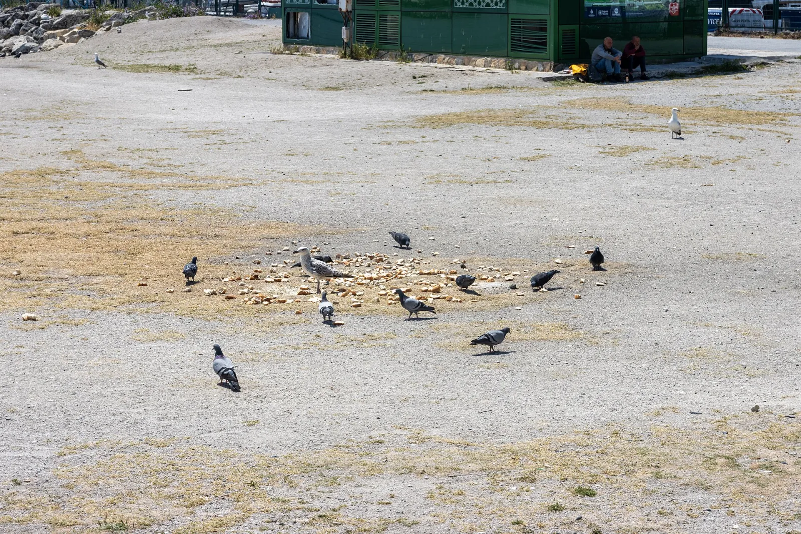 Yeşilköy Spor kulübü, Bakırköy, İstanbul