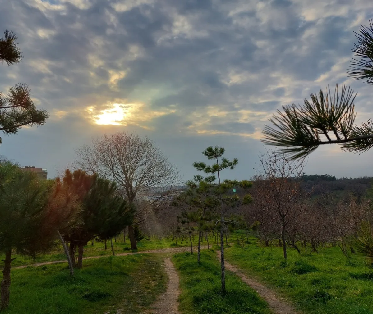 Validebağ Korusu, Üsküdar, İstanbul — Park ve Doğa