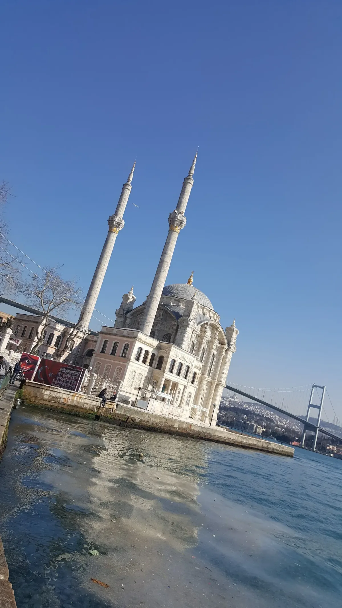 Turkbuku, Beşiktaş