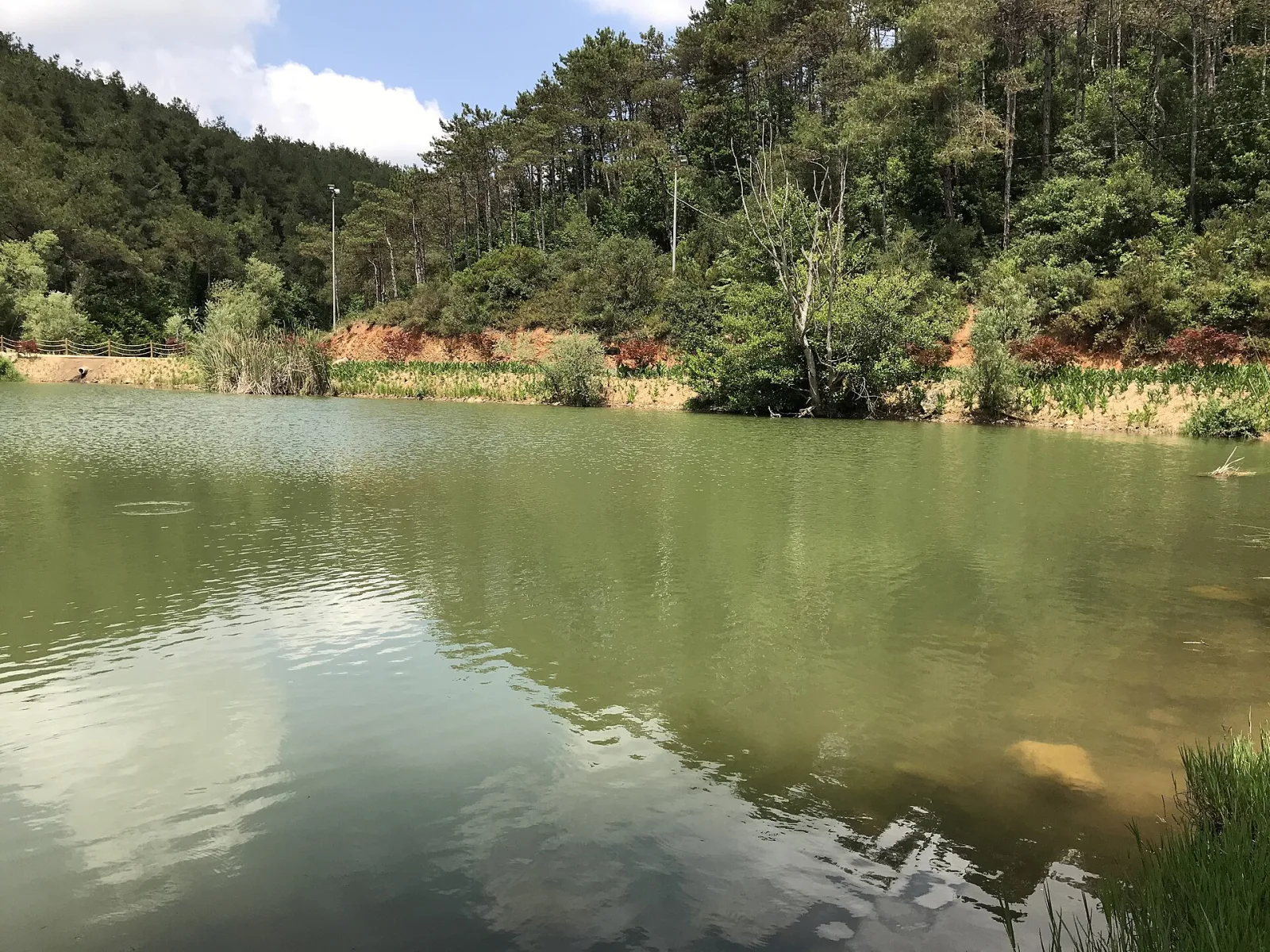 Atatürk Kent Ormanı, Sarıyer