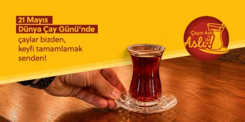 Aslı Börek, Bakırköy