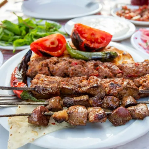 Urfa kebapçı, Bağcılar