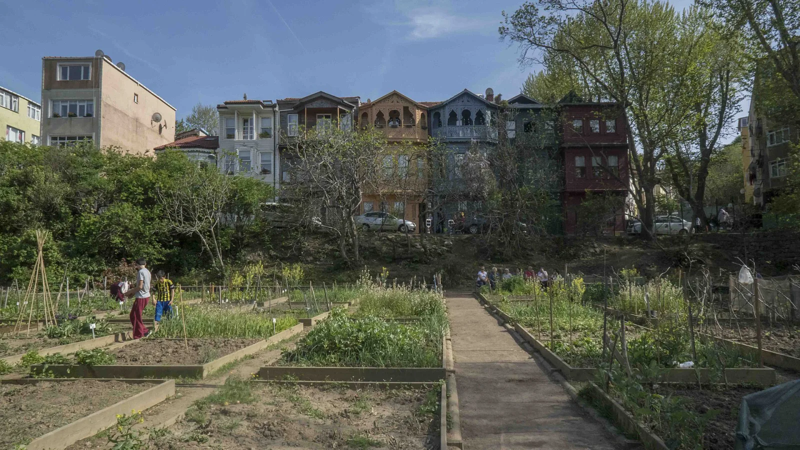 Kuzguncuk Bostanı, Üsküdar, İstanbul — Park ve Doğa