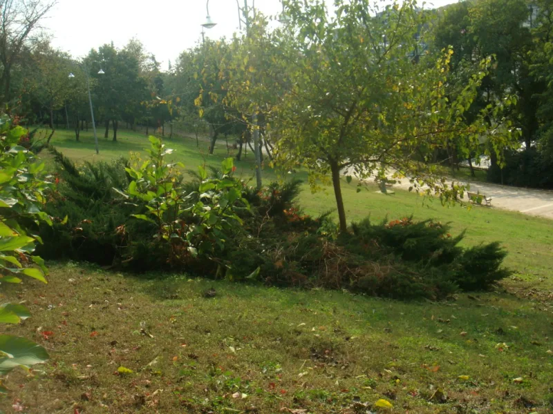 Maçka Demokrasi Parkı, Şişli, İstanbul — photo