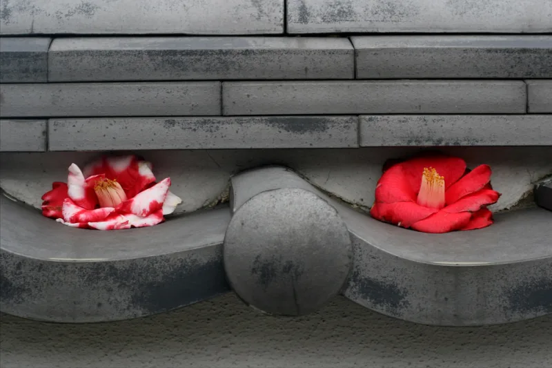 Japon, Esenler