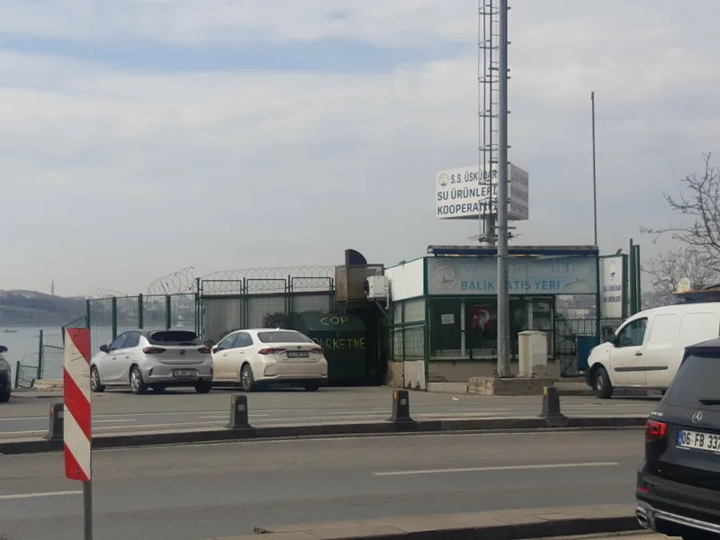 S.S. Üsküdar Su Ürünleri Kooperatifi, Üsküdar