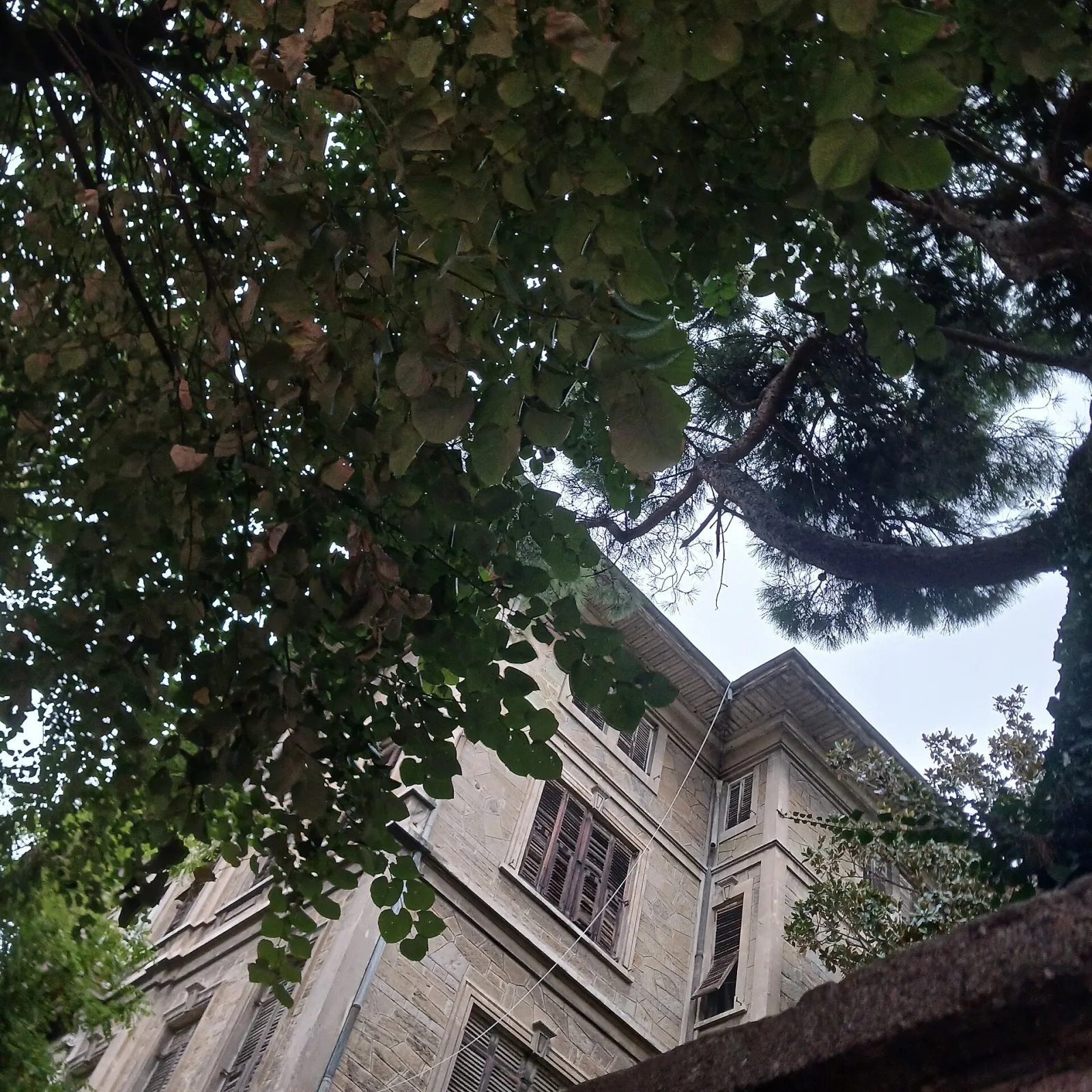 Sarıca Apartmanı, Kadıköy