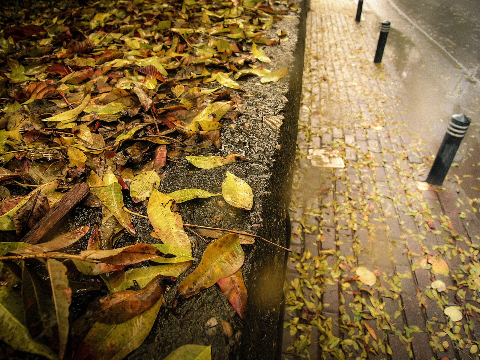 Ziverbey Köşkü, Ataşehir, İstanbul — photo