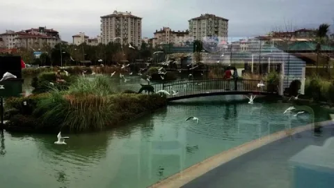 Yelken Cafe & Restoran, Büyükçekmece, İstanbul — Kafe ve Pastane