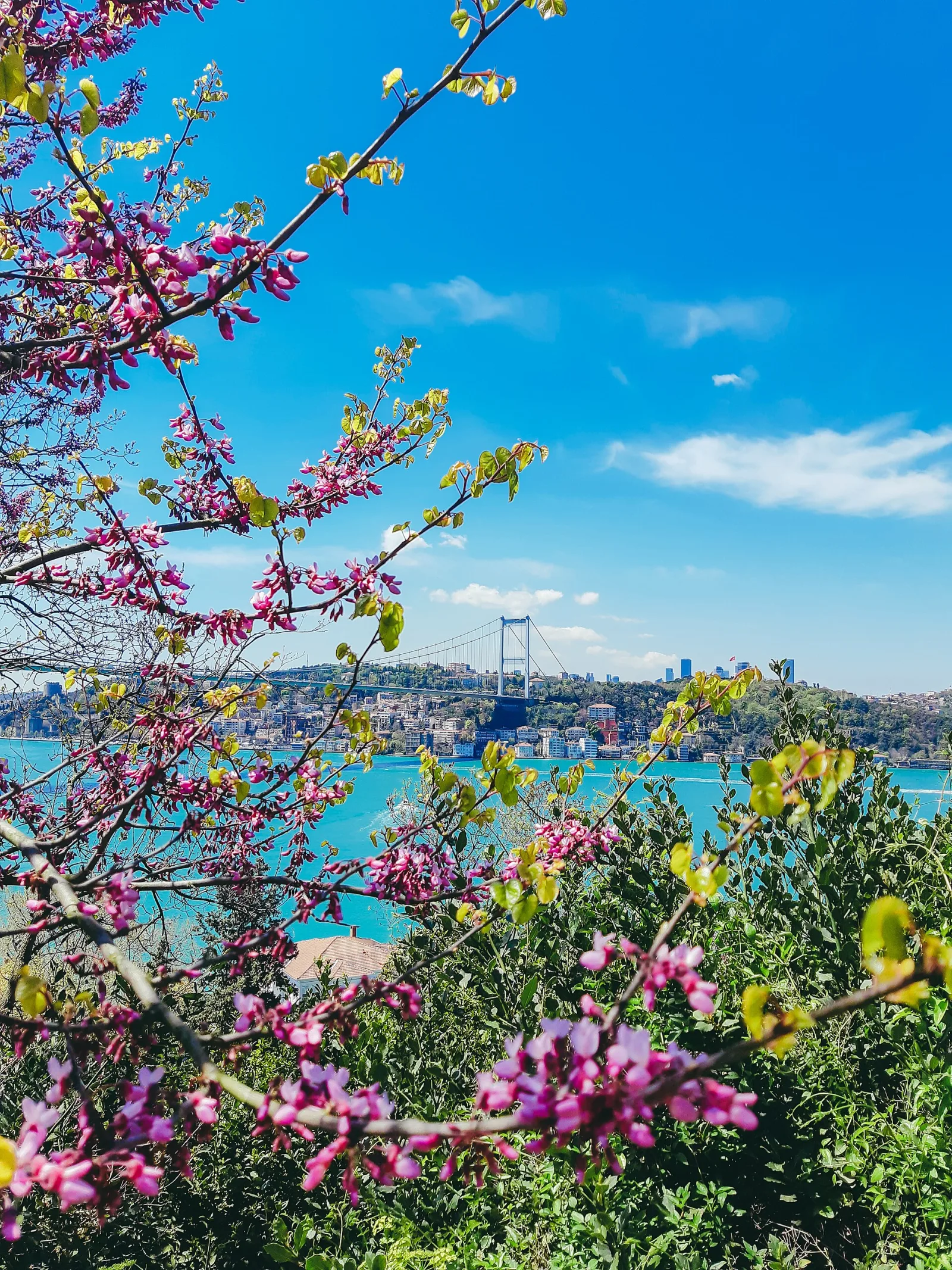 Mihrabat, Beşiktaş, İstanbul