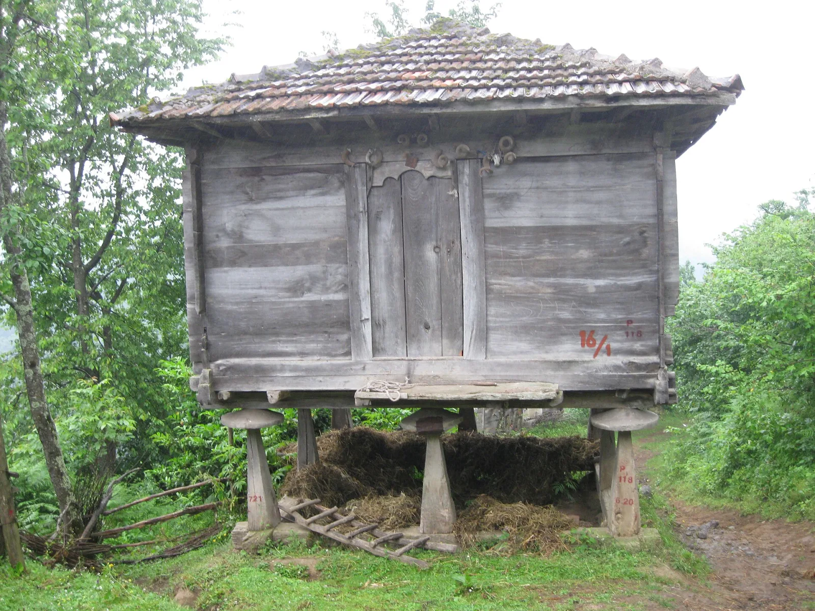 Akbaba, Beyoğlu