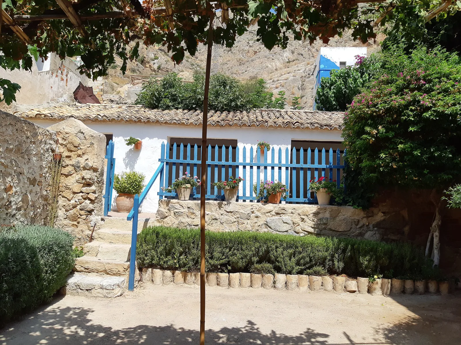 Casa Lavanda, Şile