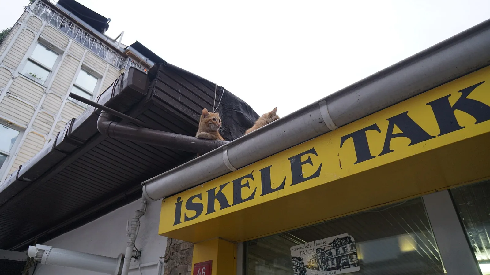 F’Rosses, Beşiktaş, İstanbul