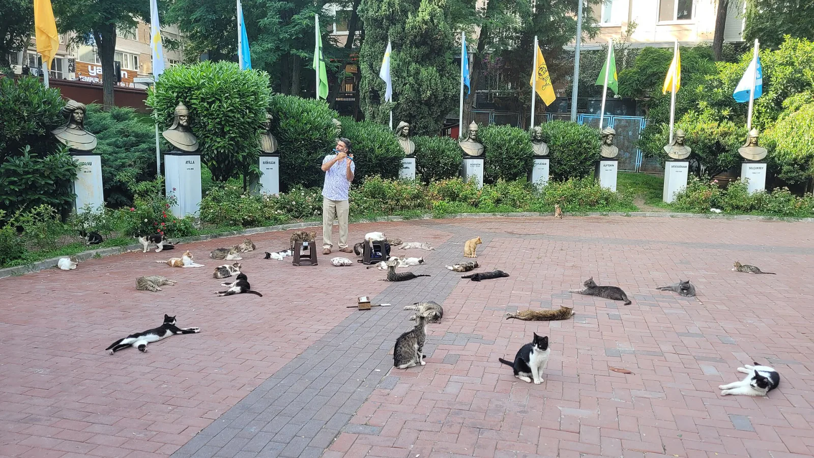 Must, Şişli