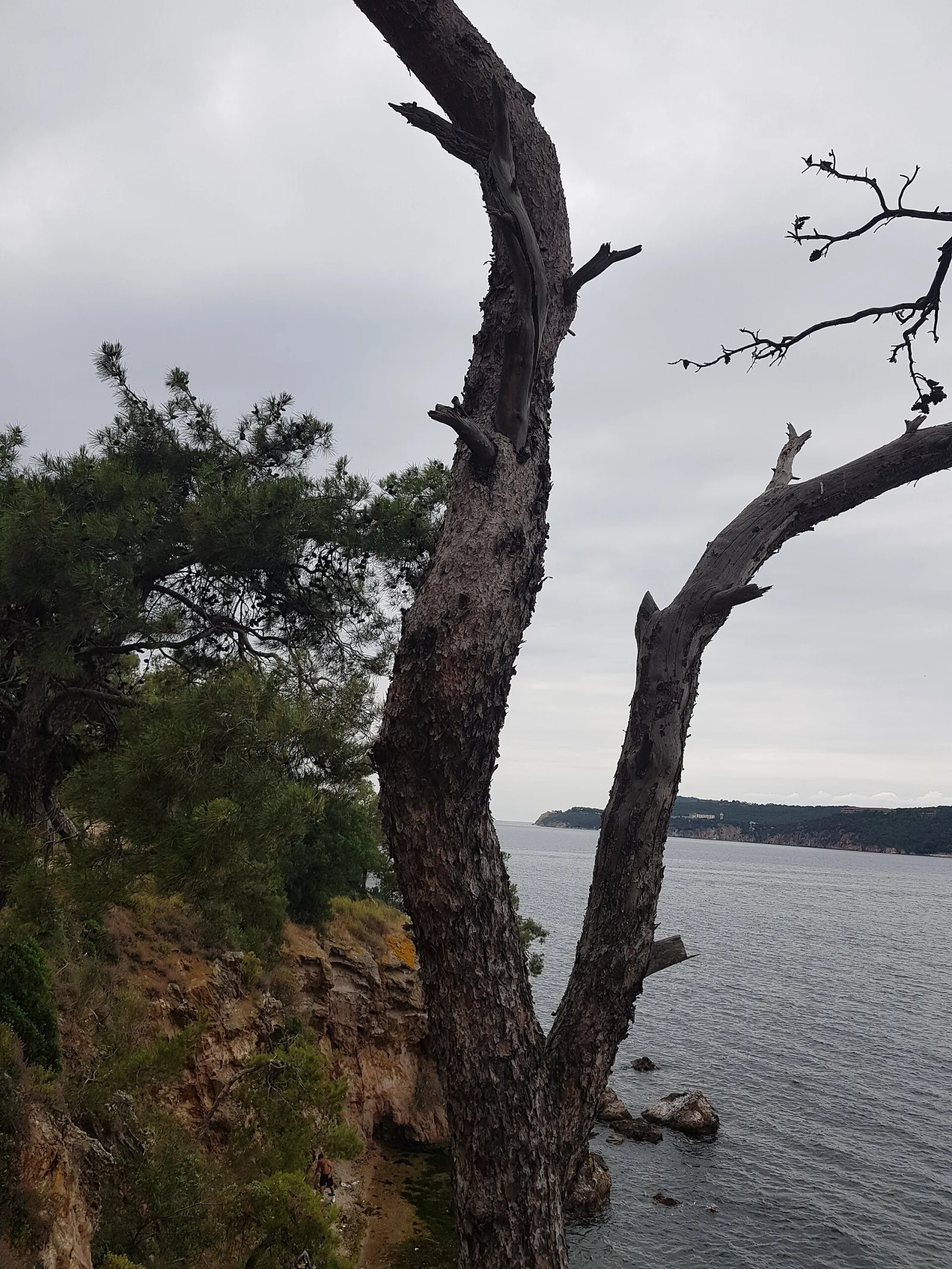 Dilburnu Tabiat Parkı, Adalar