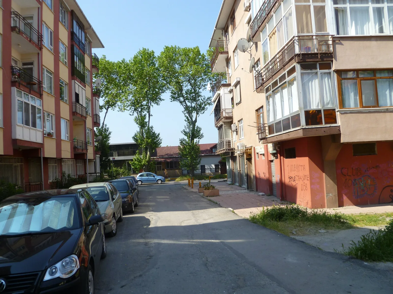 Palmiye, Beyoğlu