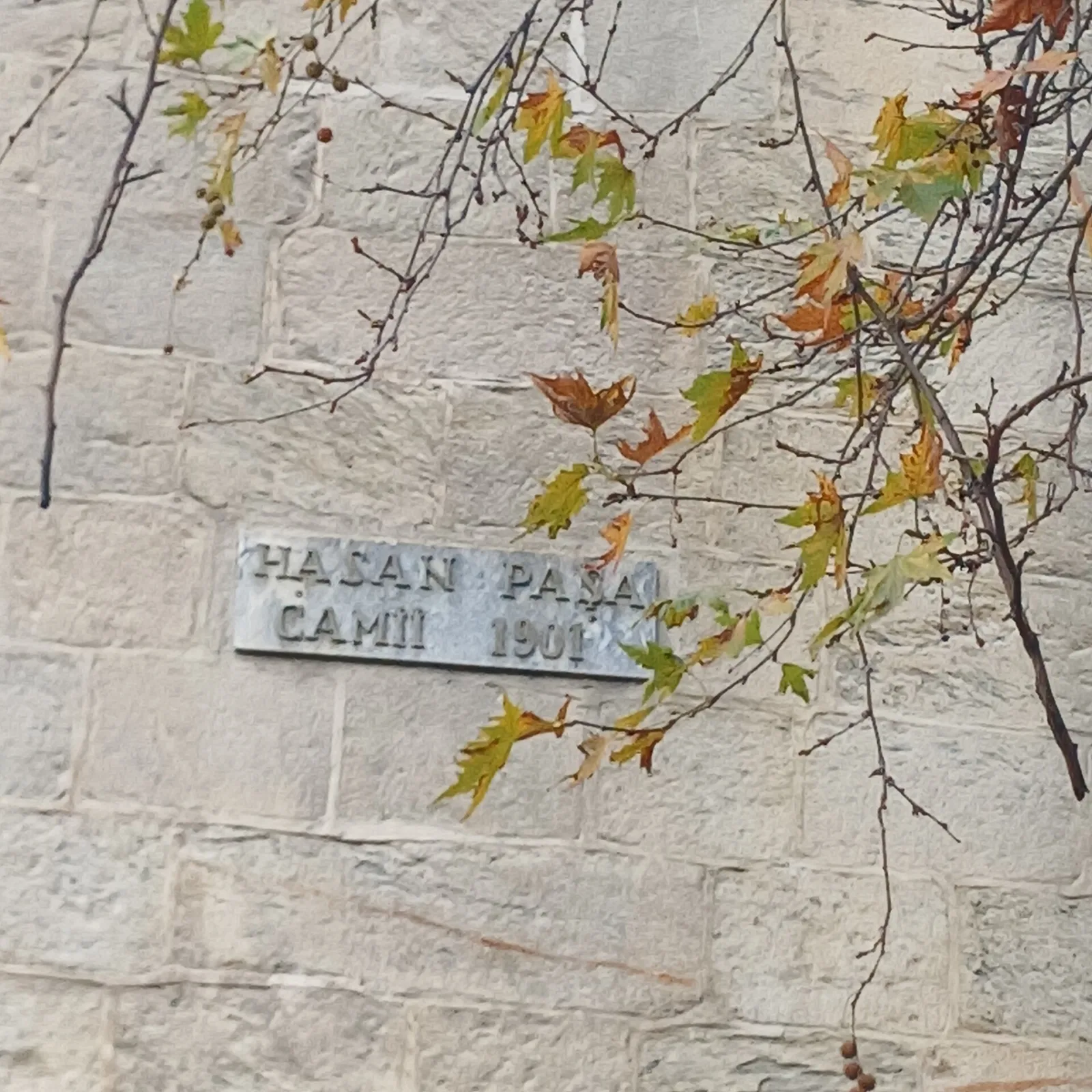 Hasan Paşa Camii (İstanbul), Kadıköy, İstanbul — photo