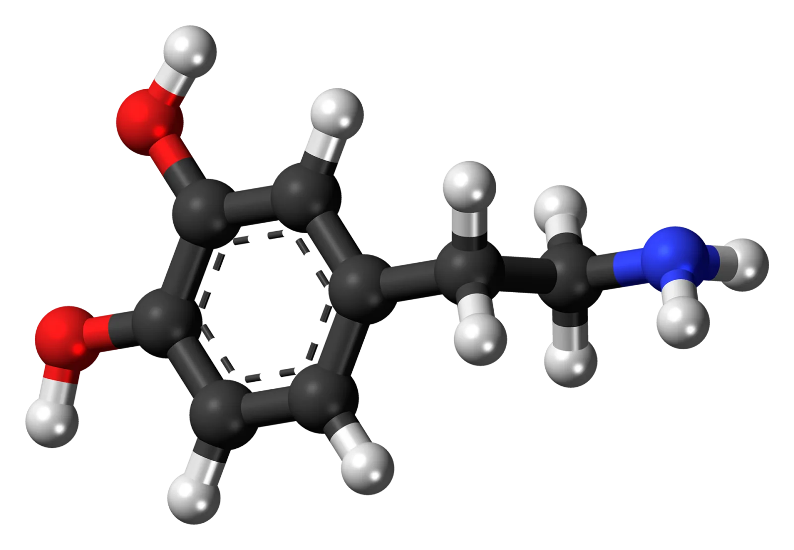 Dopamine, Kadıköy, İstanbul