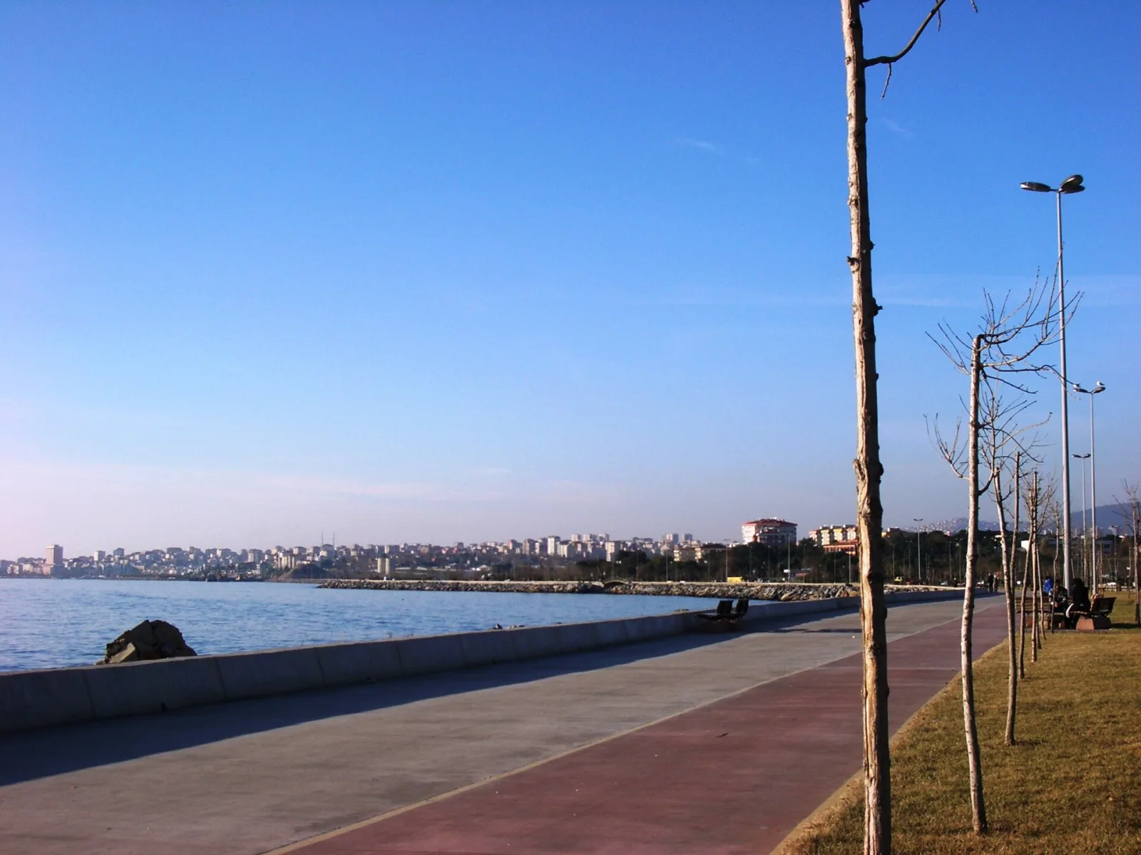 Palmiye, Beyoğlu, İstanbul