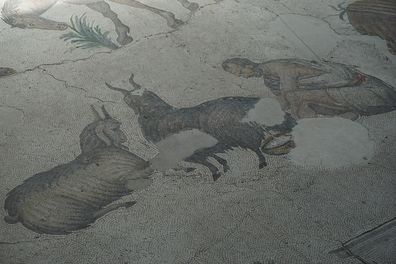 Büyük Saray Mozaikleri Müzesi, Fatih, İstanbul — photo