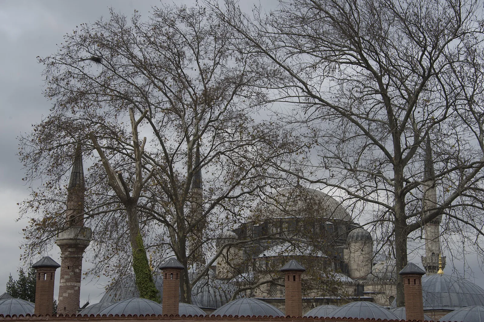Şehzade Camii, Fatih, İstanbul — photo