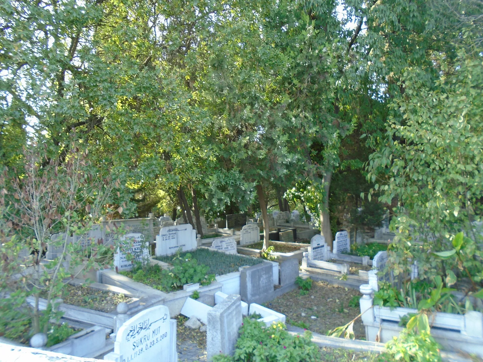 Bayrampaşa, Bayrampaşa, İstanbul