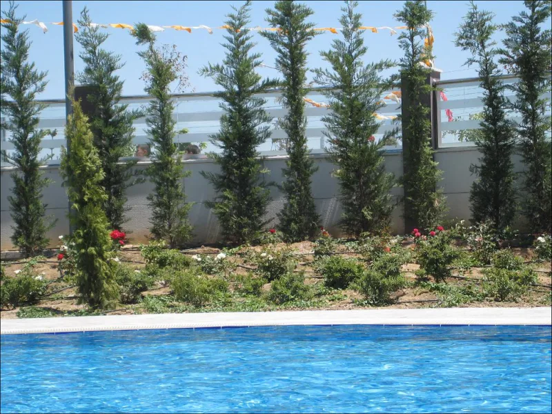 Dedeman İstanbul, Beşiktaş, İstanbul — Otel
