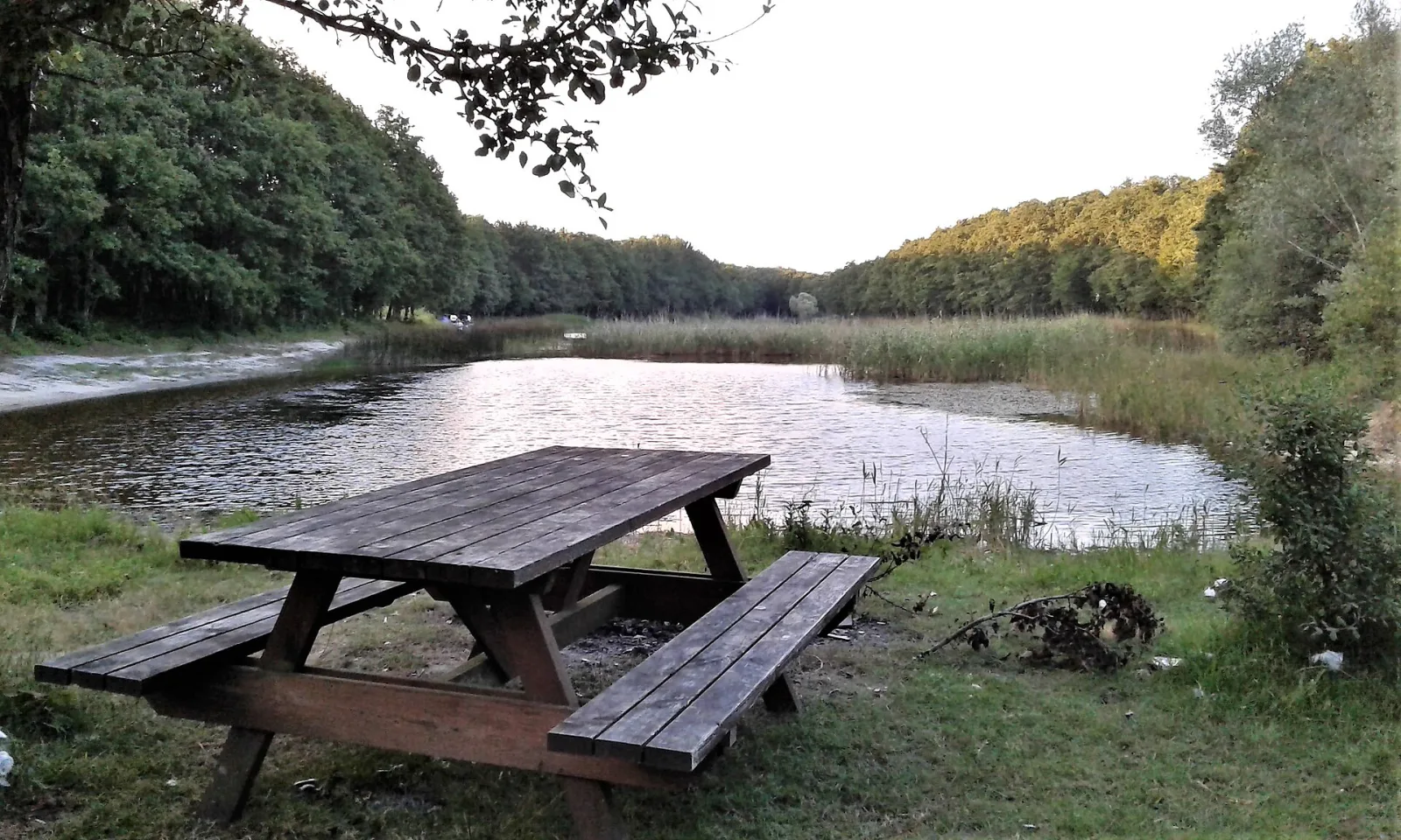Danamandıra Tabiat Parkı, Esenyurt, İstanbul — Mesire ve Piknik