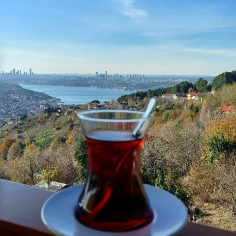 Shine İst Restaurant, Beykoz, İstanbul — Restoran