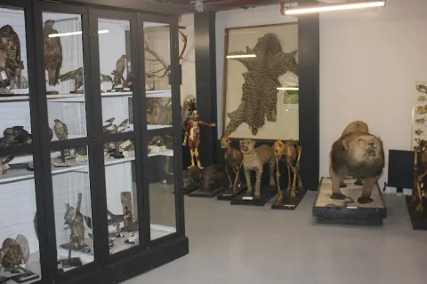 İstanbul Üniversitesi Zooloji Müzesi, Fatih, İstanbul
