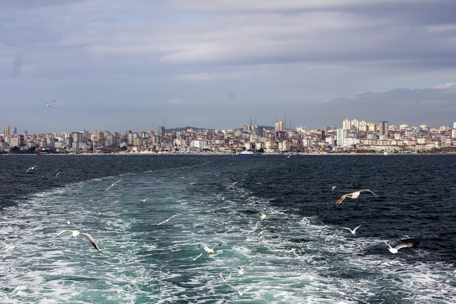Maltepe Sahil Parkı, Maltepe, İstanbul — photo