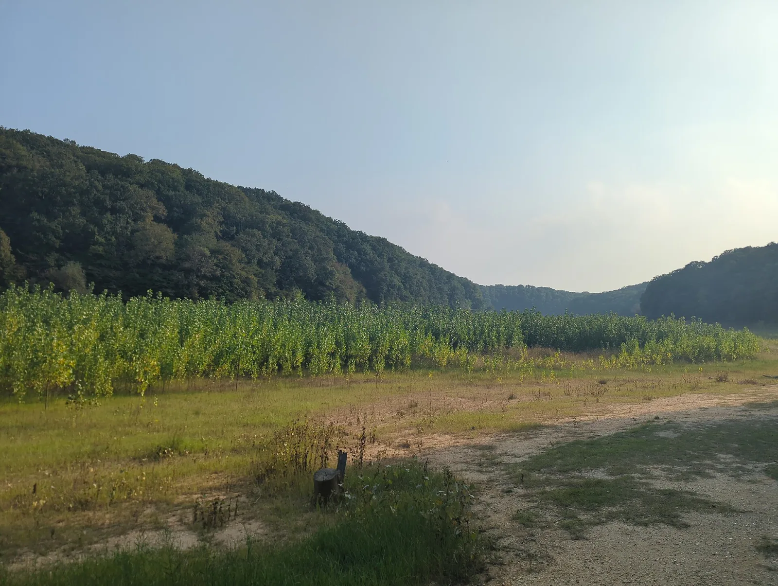 Belgrad Ormanı, Sarıyer