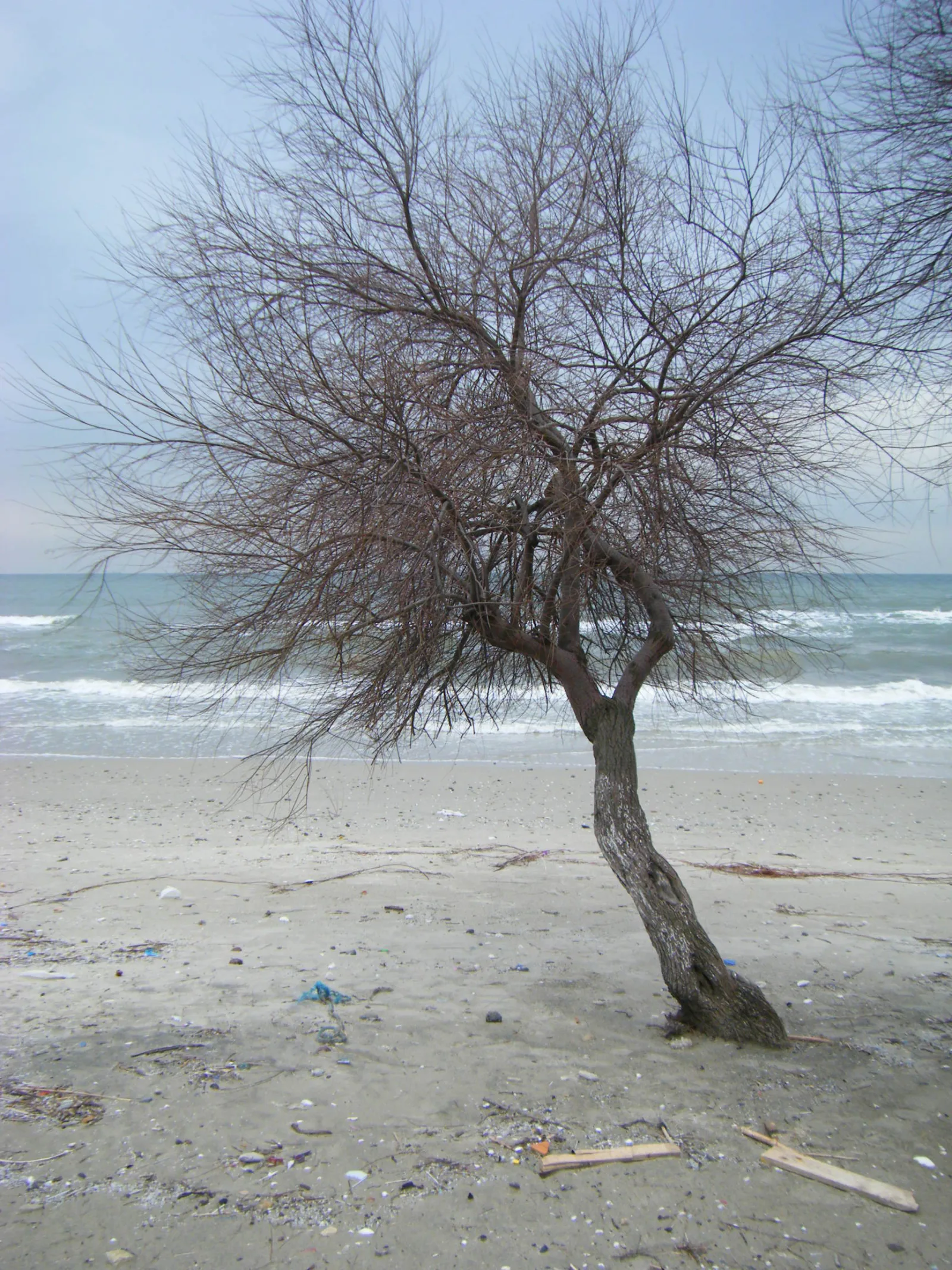 Menekşe Plajı, Küçükçekmece, İstanbul — Plaj