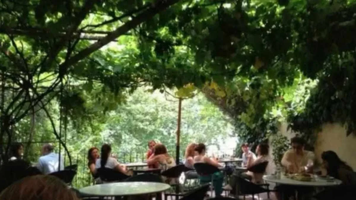 Yenıköy Kahvesı, Sarıyer