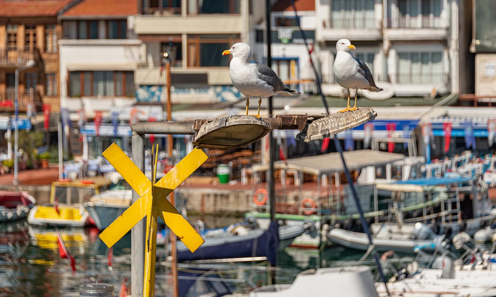 Burgazada İskelesi, Adalar