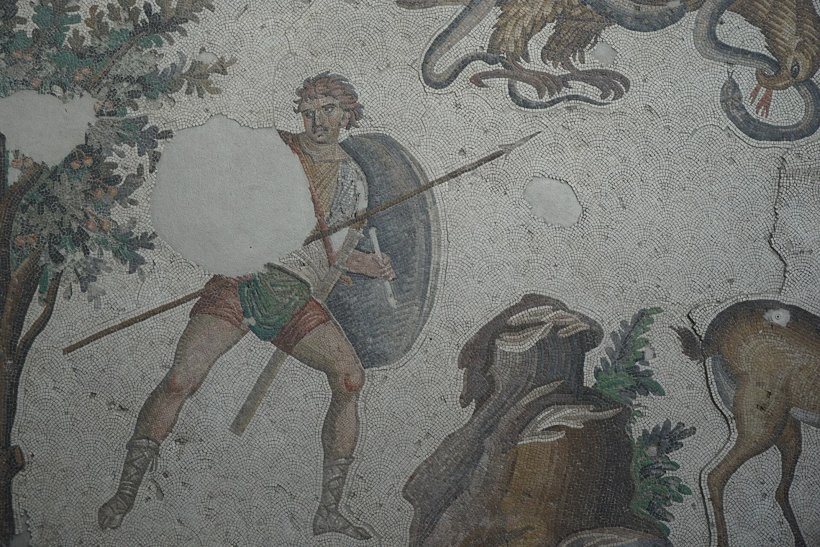 Büyük Saray Mozaikleri Müzesi, Fatih, İstanbul — photo