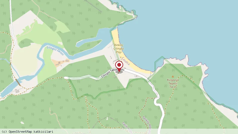 Çilingoz Cafe & Restaurant konumunu gösteren harita